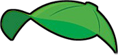 Green Ballcap